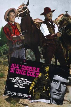 Poster All’ombra di una colt