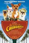 Poster Beverly Hills Chihuahua