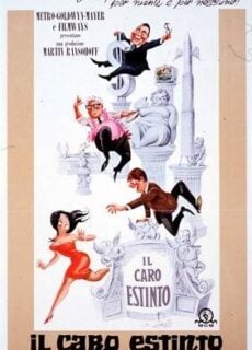 Poster Il caro estinto