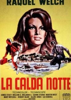 Poster La Calda Notte