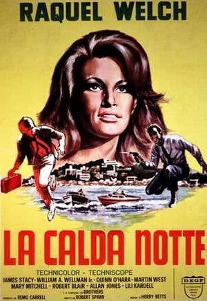 Poster La Calda Notte