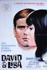 Poster David e Lisa