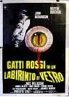 Poster Gatti rossi in un labirinto di vetro