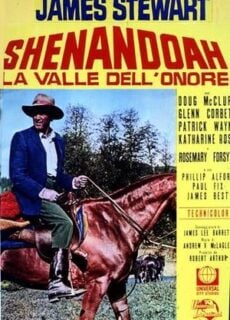 Poster Shenandoah – La valle dell’onore