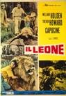 Poster Il leone