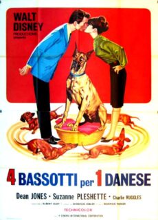 Poster Quattro bassotti per un danese