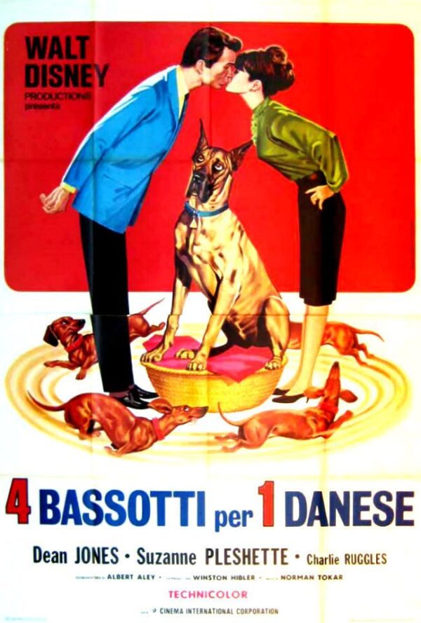 Poster Quattro bassotti per un danese