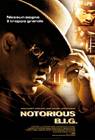 Poster Notorious