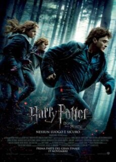 Poster Harry Potter e i Doni della morte: Parte I