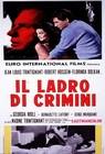 Poster Il ladro di crimini