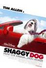 Poster Shaggy Dog – Papà che abbaia… non morde