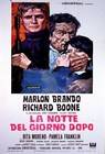 Poster La notte del giorno dopo