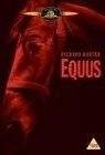 Poster Equus