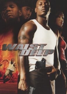 Poster Waist Deep