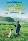 Poster Il cane giallo della Mongolia