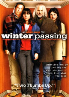 Poster Winter Passing