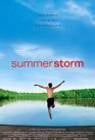 Poster Summer Storm