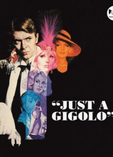 Poster Gigolò