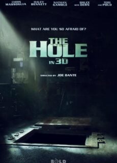 Poster The Hole 3D