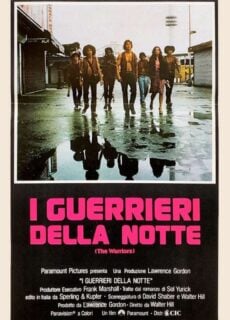 Poster I guerrieri della notte