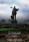 Poster Strigoi