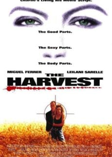 Poster The Harvest