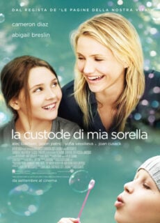 Poster La custode di mia sorella