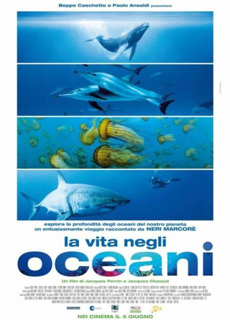 Poster La vita negli oceani