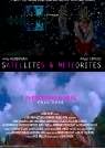 Poster Satellites & Meteorites