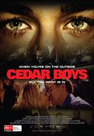 Poster Cedar Boys