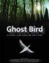 Poster Ghost Bird