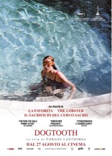 Poster Dogtooth