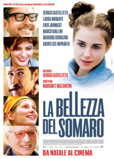 Poster La bellezza del somaro