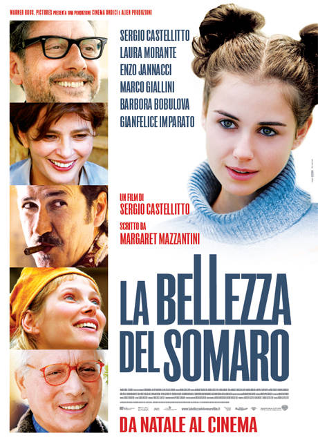 Poster La bellezza del somaro