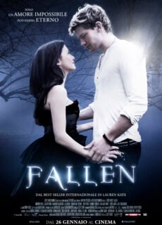 Poster Fallen