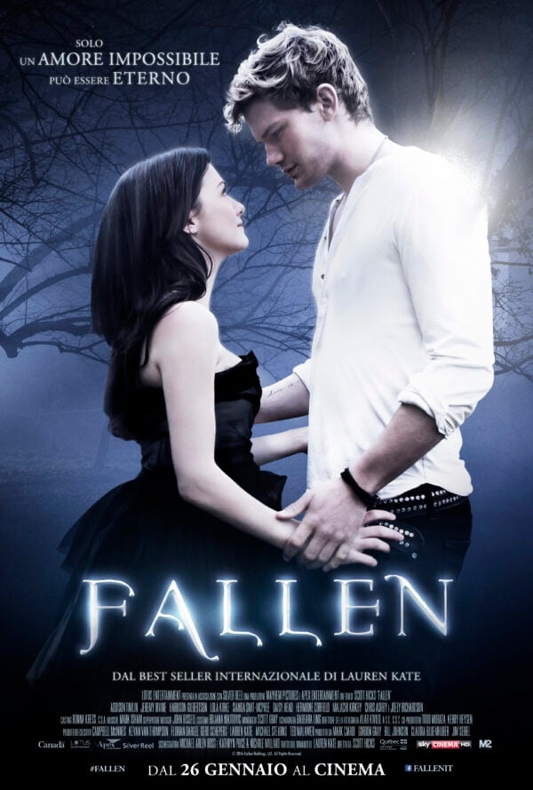 Poster Fallen