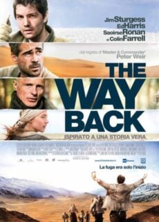 Poster The Way Back