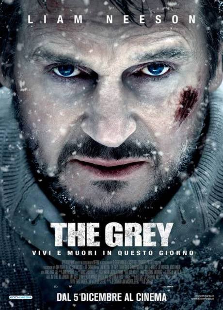 Poster The Grey