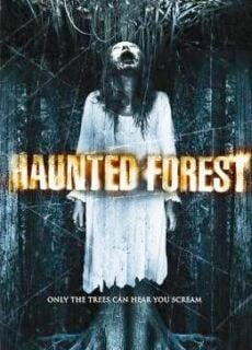 Poster Haunted Forest