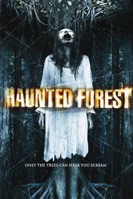 Poster Haunted Forest