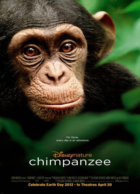 Poster Chimpanzee