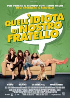 Poster Quell’idiota di nostro fratello