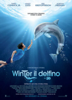 Poster L’incredibile storia di Winter il delfino