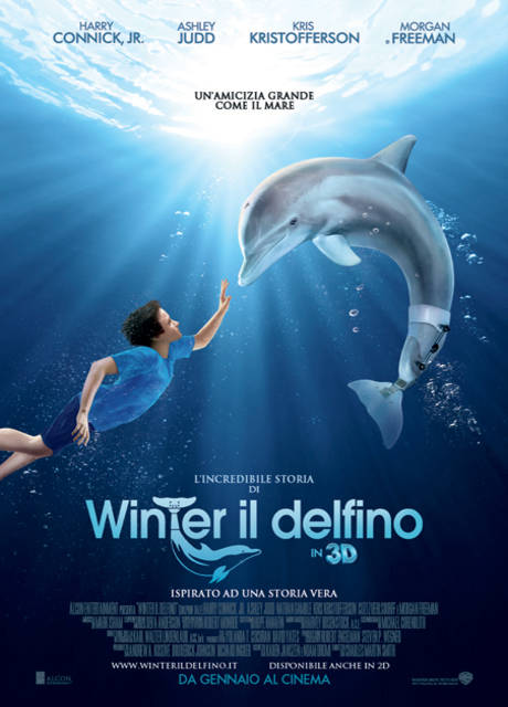 Poster L’incredibile storia di Winter il delfino