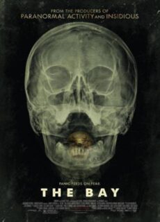 Poster The Bay