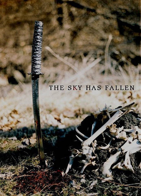 Poster The Sky Has Fallen