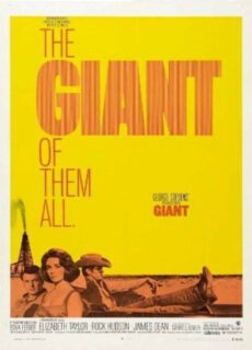 Poster Il gigante