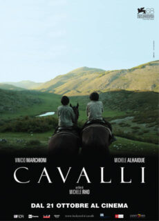 Poster Cavalli