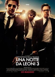 Poster Una notte da leoni 3