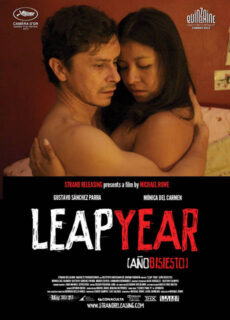 Poster Leap Year